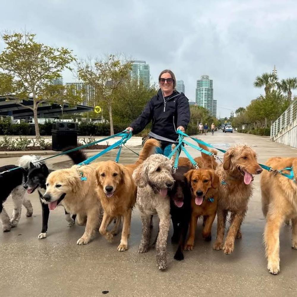 Meet your Posher, Meaghan